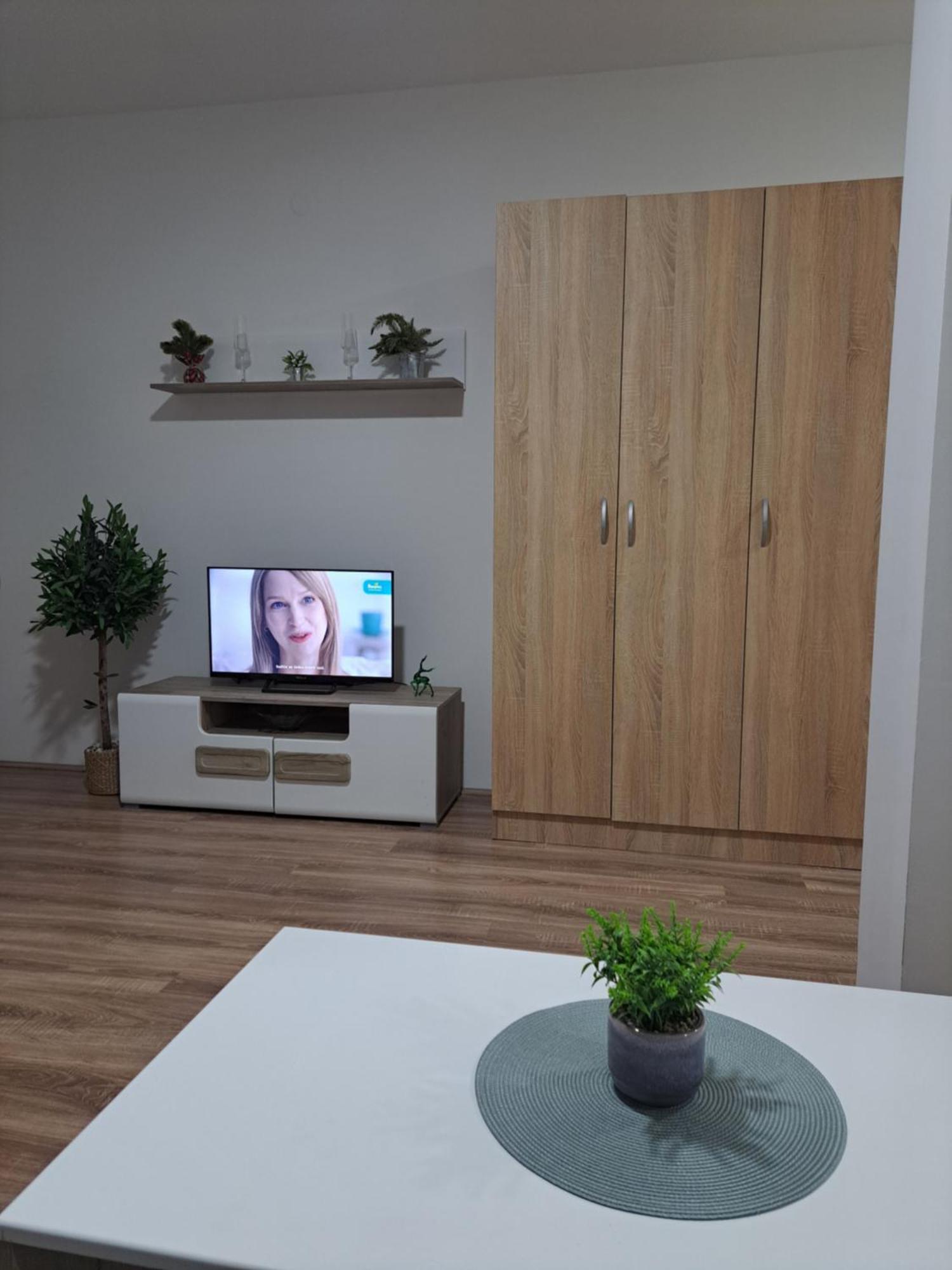 6 Apartment Novi Sad